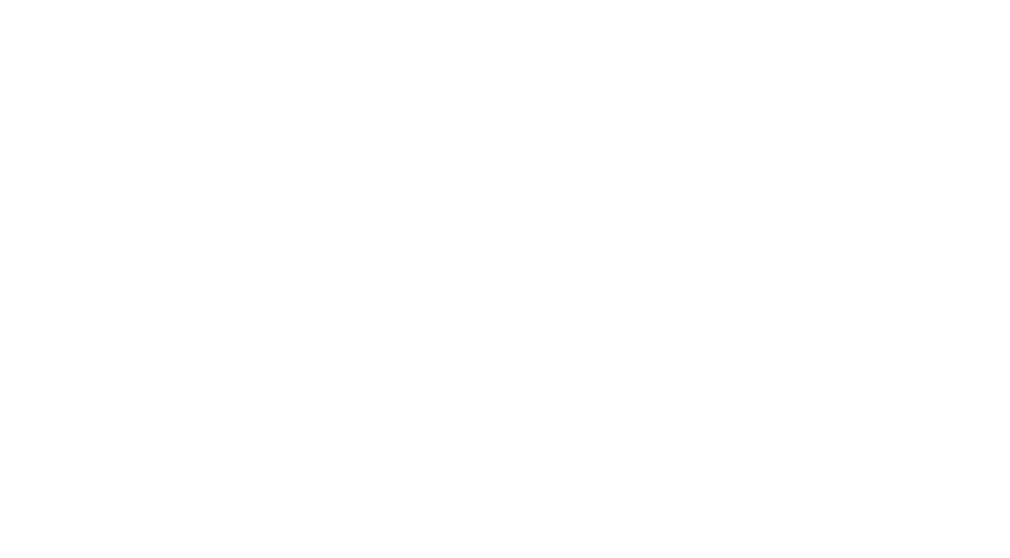 Stella Polare